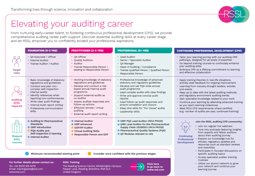 Auditing Career Path Infographic Thumbnail