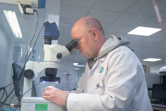 P1010811 Edited P1010811 Edited