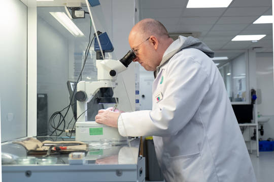 P1010833 Edited P1010833 Edited